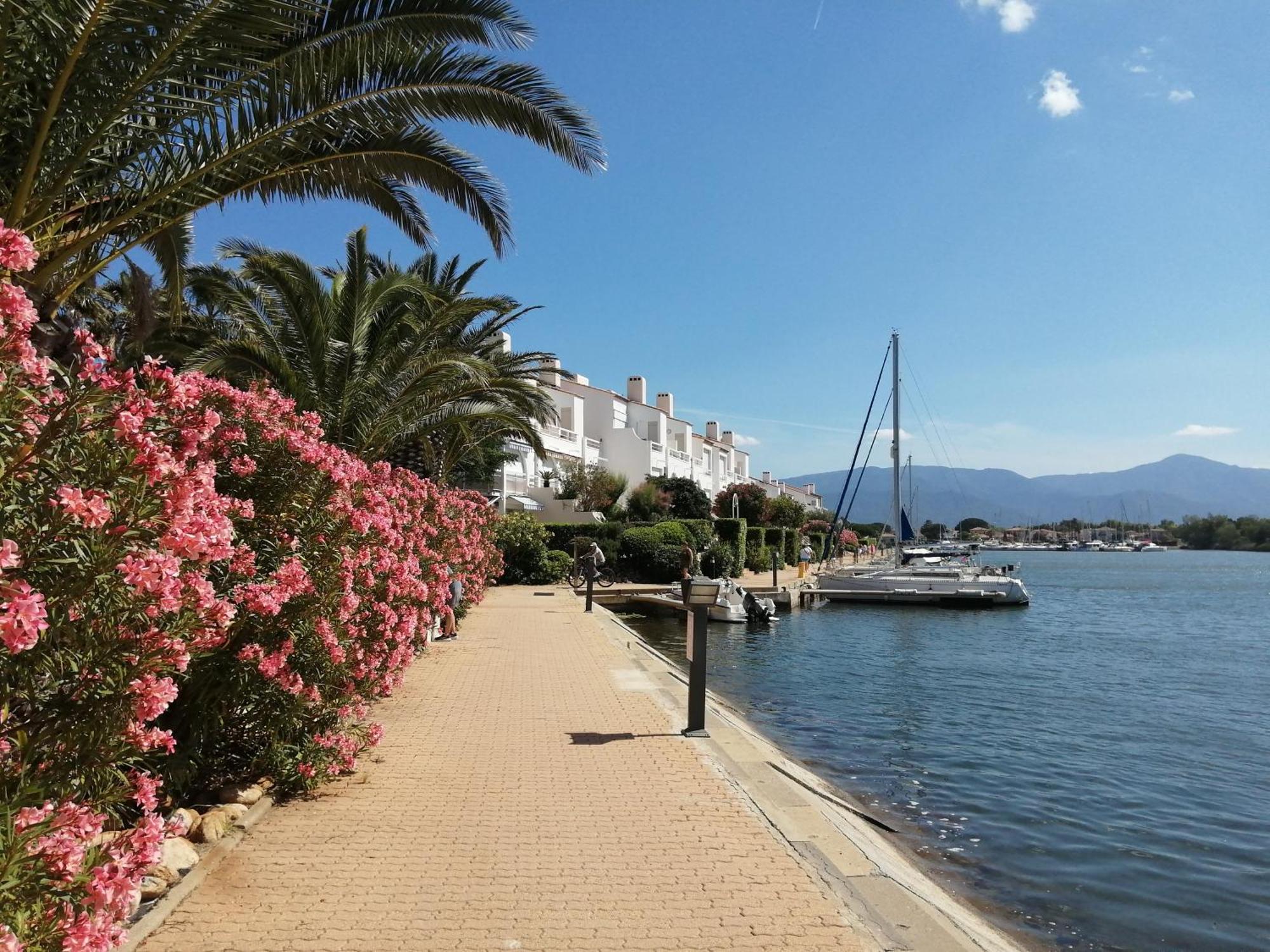 Vue Lagune Et Bateaux A 100M De La Plage Apartment Saint-Cyprien  Exterior foto