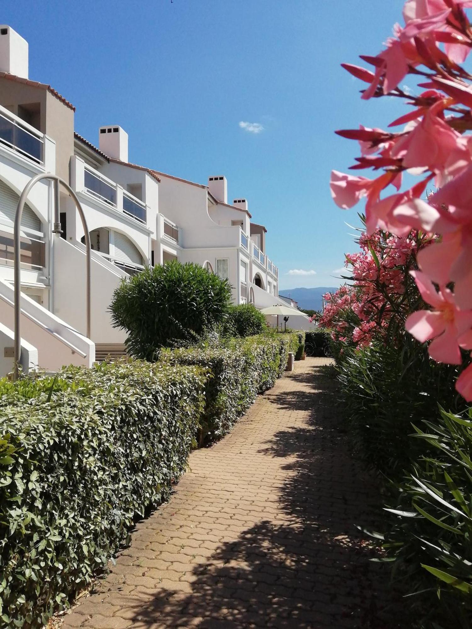 Vue Lagune Et Bateaux A 100M De La Plage Apartment Saint-Cyprien  Exterior foto